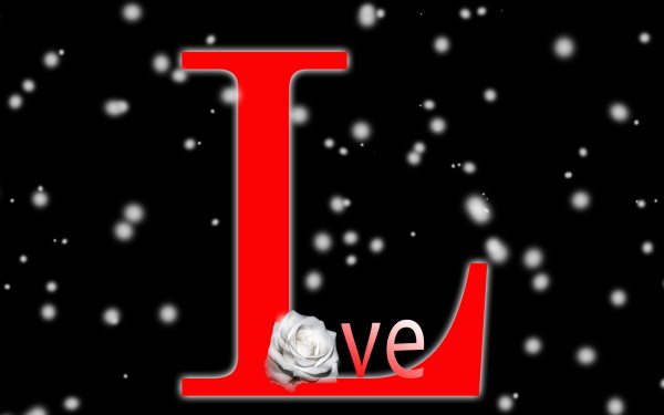 Holiday Valentine's Day Love Heart White Rose Flower Black Red HD Wallpaper | Background Image