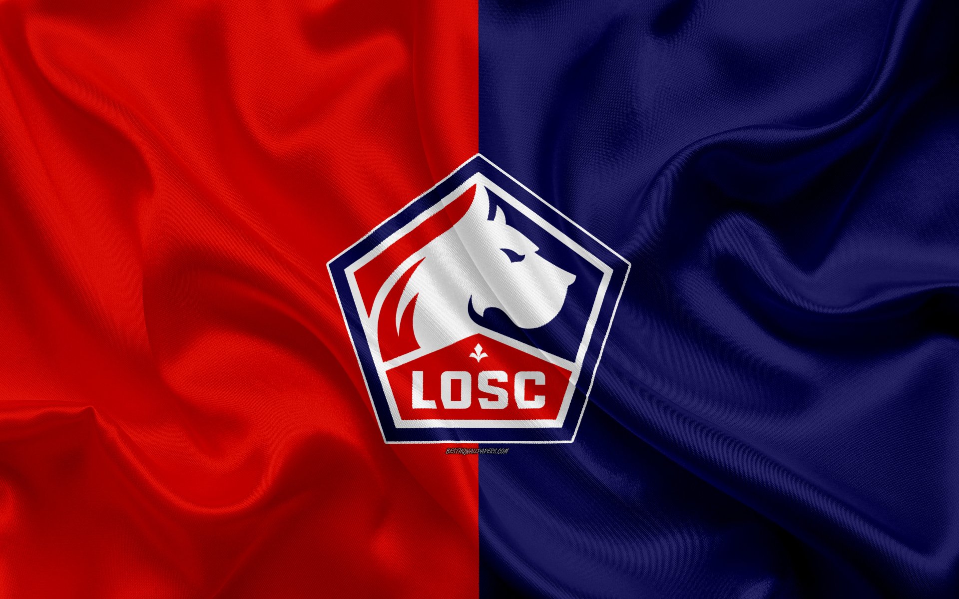 Losc lille