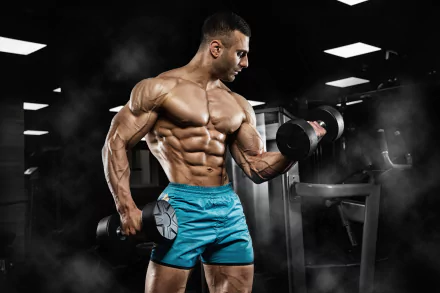 muscle weightlifting Sports HD Desktop Wallpaper | Background Image