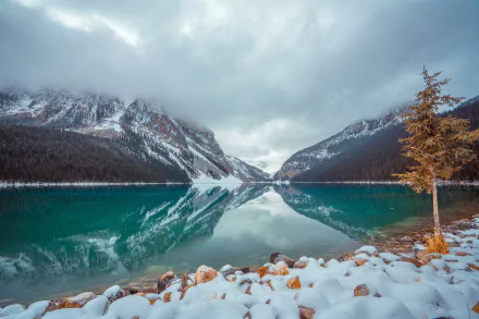 winter nature lake louise HD Desktop Wallpaper | Background Image
