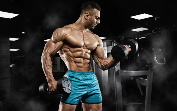 muscle weightlifting Sports HD Desktop Wallpaper | Background Image