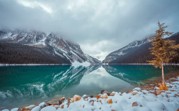 winter nature lake louise HD Desktop Wallpaper | Background Image