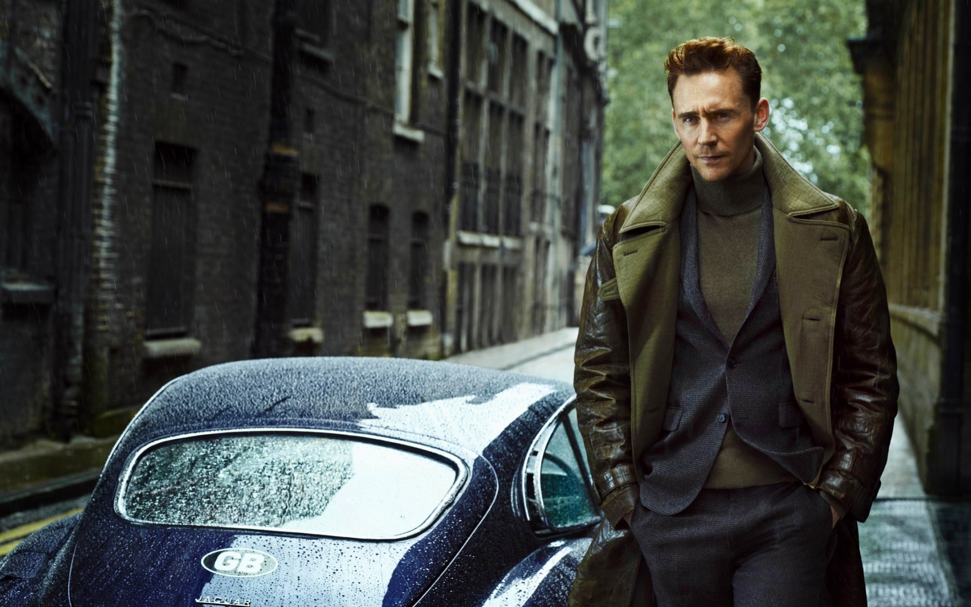 Celebrity Tom Hiddleston HD Wallpaper | Background Image