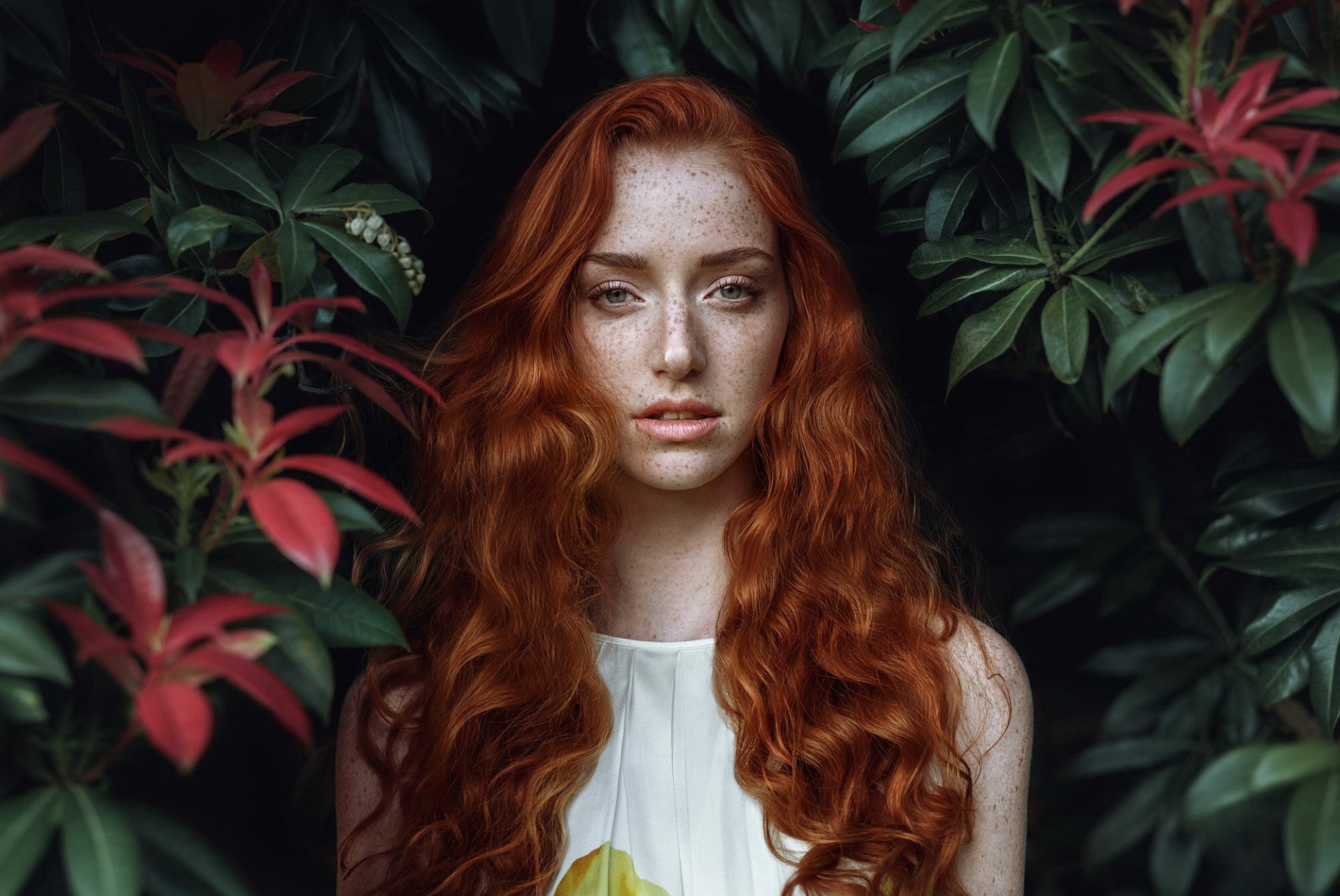 Download Blue Eyes Freckles Long Hair Redhead Woman Model HD Wallpaper by Olga Gridina