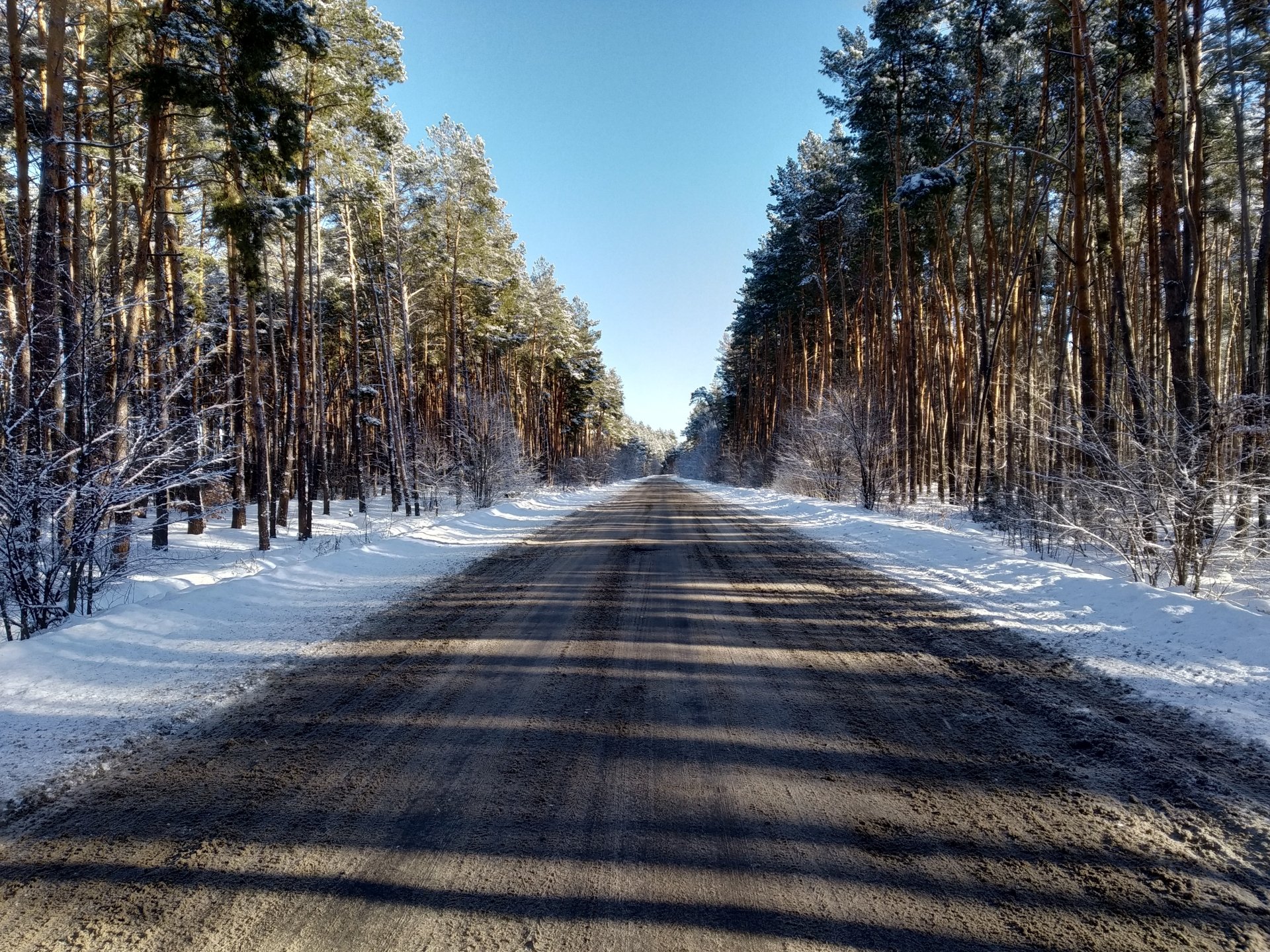 Winter Road Through Snowy Forest | 4K Ultra HD Nature Wallpaper ...