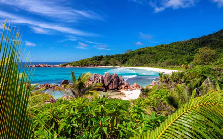 HD desktop wallpaper featuring the lush greenery, sandy beach, and turquoise ocean of a serene Seychelles coastline under a bright blue sky.