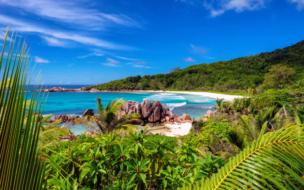 HD desktop wallpaper featuring the lush greenery, sandy beach, and turquoise ocean of a serene Seychelles coastline under a bright blue sky.