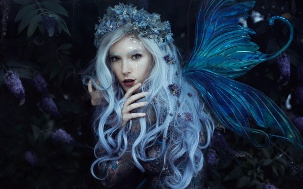 Women Cosplay Fairy HD Wallpaper | Background Image