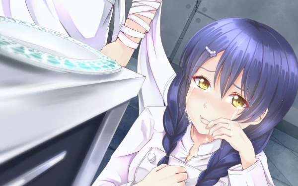 Megumi Tadokoro Sōma Yukihira Anime Food Wars: Shokugeki no Soma HD Desktop Wallpaper | Background Image