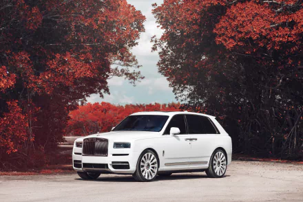 SUV white car car Rolls-Royce vehicle Rolls-Royce Cullinan HD Desktop Wallpaper | Background Image