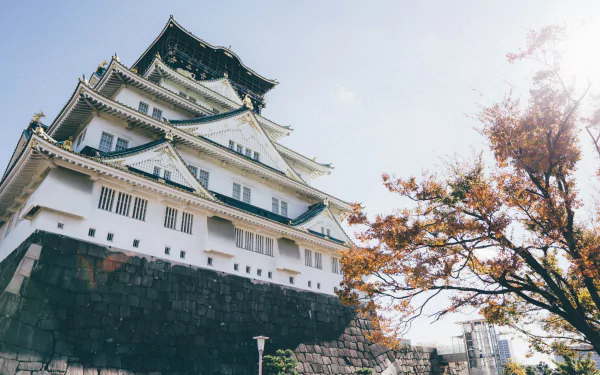 castle Japan man made Osaka Castle HD Desktop Wallpaper | Background Image