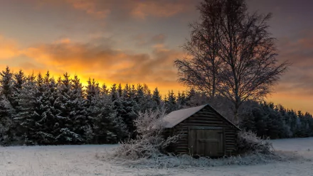 HD desktop wallpaper of a winter sunset with a man-made cabin surrounded by snow-covered trees under a vibrant orange sky.