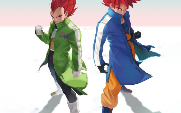 Anime Dragon Ball Super: Broly Goku Vegeta Super Saiyan God HD Wallpaper | Background Image