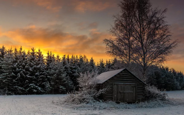 HD desktop wallpaper of a winter sunset with a man-made cabin surrounded by snow-covered trees under a vibrant orange sky.
