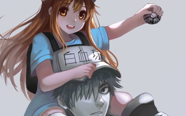 Anime Cells at Work! Platelet U-1146 HD Wallpaper | Background Image